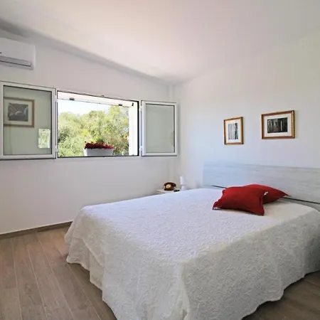 Apartament Panoramic *